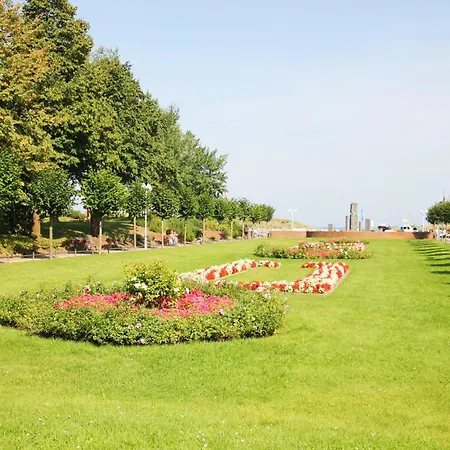 Wilkens Reetblick *