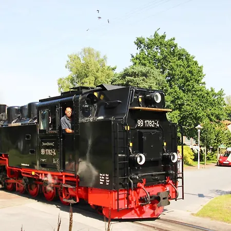Wilkens Reetblick *